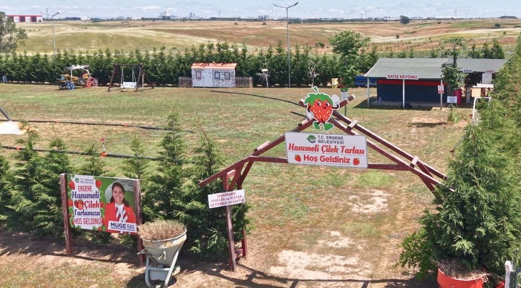 ERGENE’DE LAVANTA VE ÇİLEK TARLALARI YENİ SEZONU AÇTI