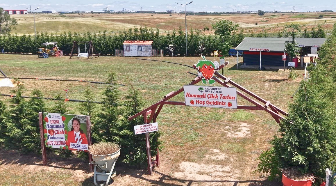ERGENE’DE LAVANTA VE ÇİLEK TARLALARI YENİ SEZONU AÇTI